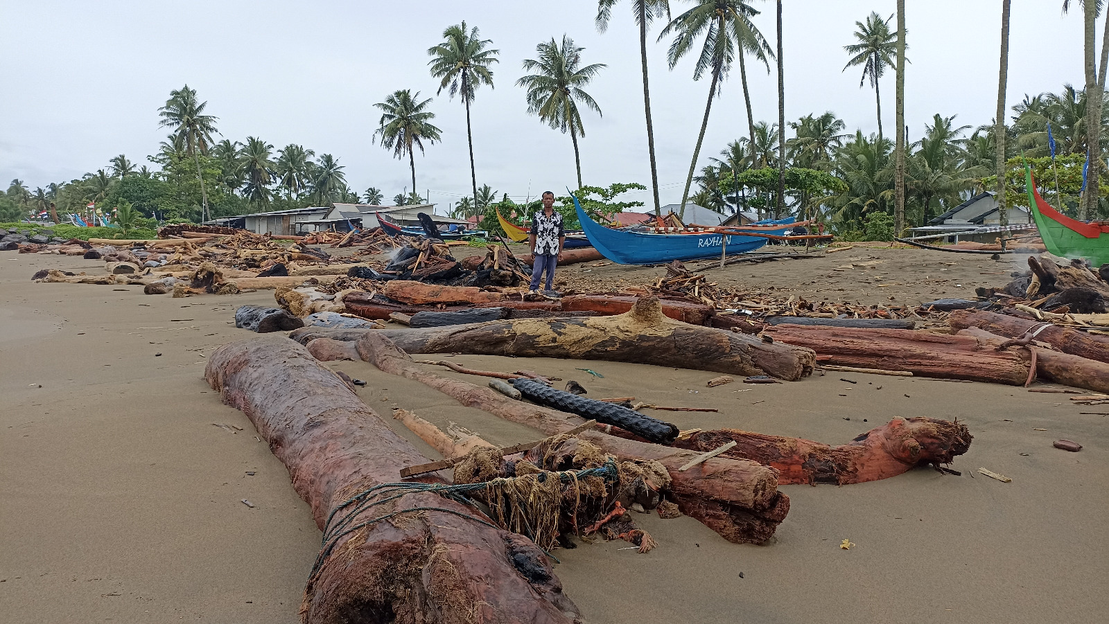 Kondisi terkini Pantai Pasiedama, Kelurahan Pasie Nantigo, Kecamatan Kototangah, yang masih dipenuhi tumpukan kayu sisa banjir, kemarin.