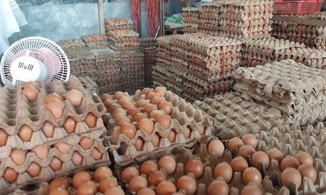 Harga telur ayam ras di Pasar Raya Padang naik hingga Rp63.000 per papan jelang Nataru akibat lonjakan permintaan dan faktor non-musiman.