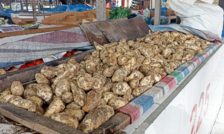 Musim hujan membuat pedagang ubi di Pasar Ujunggading Pasaman Barat merugi akibat stok cepat busuk dan pendapatan turun hingga 50 persen. (Foto: Fadli Zikri/Padeks)