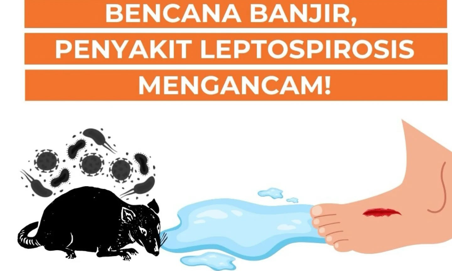 Kemenkes RI mengeluarkan peringatan dini leptospirosis pascabencana banjir dan longsor, meminta masyarakat dan fasilitas kesehatan meningkatkan kewaspadaan dan deteksi dini.
