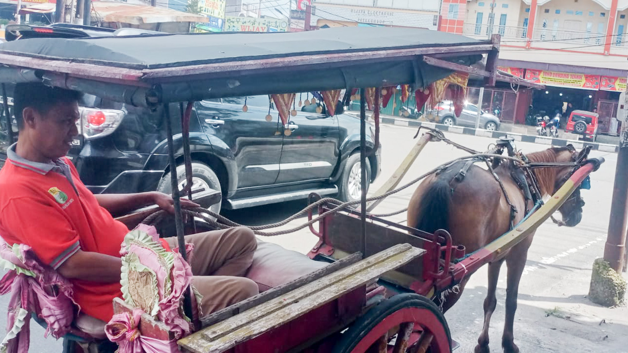 Riko (48) masih bertahan sebagai kusir bendi di Kota Payakumbuh. (Foto: Irfan R Rusli/Padeks)