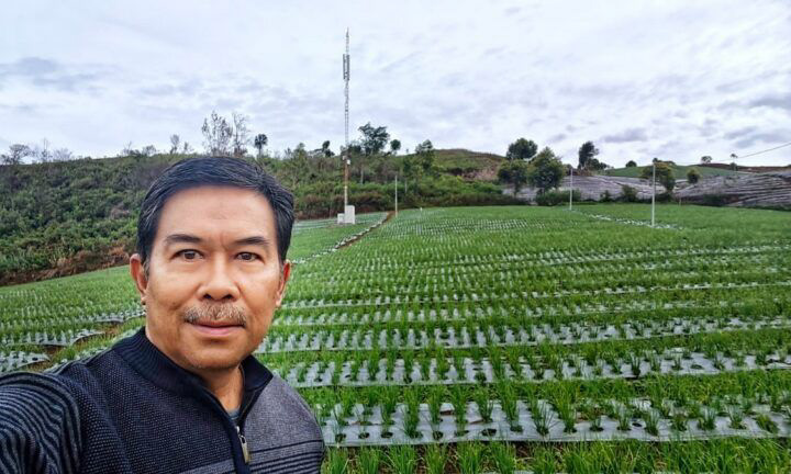 Kabupaten Solok produsen bawang merah terbesar kedua nasional, Nofrins kembangkan lahan di Alahan Panjang. (Foto: Dila Kartika/Padeks)