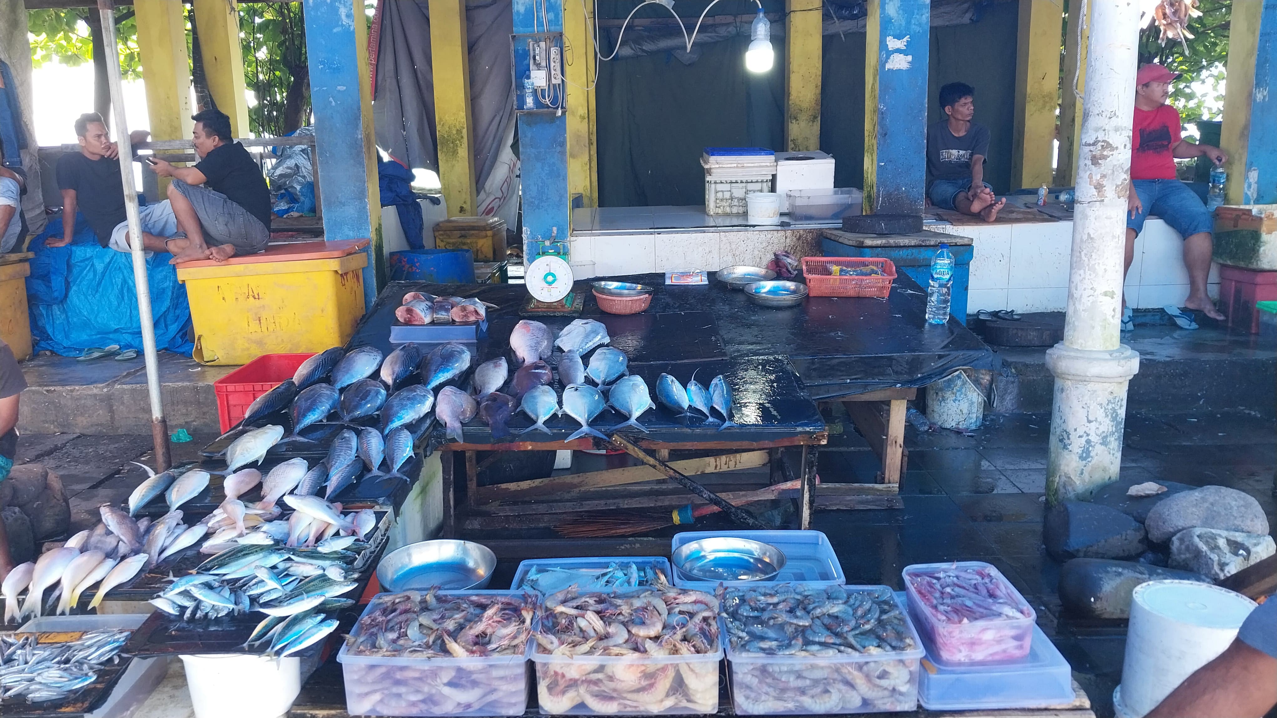 Omzet pedagang ikan Pantai Padang turun hingga 70 persen pascabanjir bandang. Aktivitas jual beli sepi meski harga ikan relatif stabil, Jumat (26/12/2025).(Mengki/Padeks)