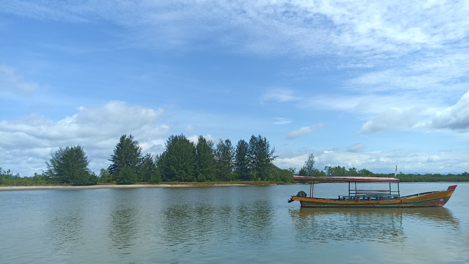 Di Pantai Sikabau juga terdapat beberapa pohon mangrove.