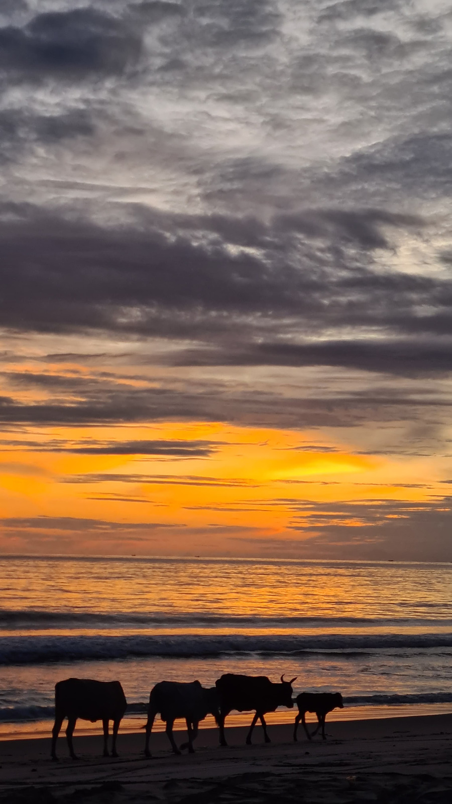Suasana matahari tenggelam di Pantai Sikabau selalu dinantikan oleh wisatawan.