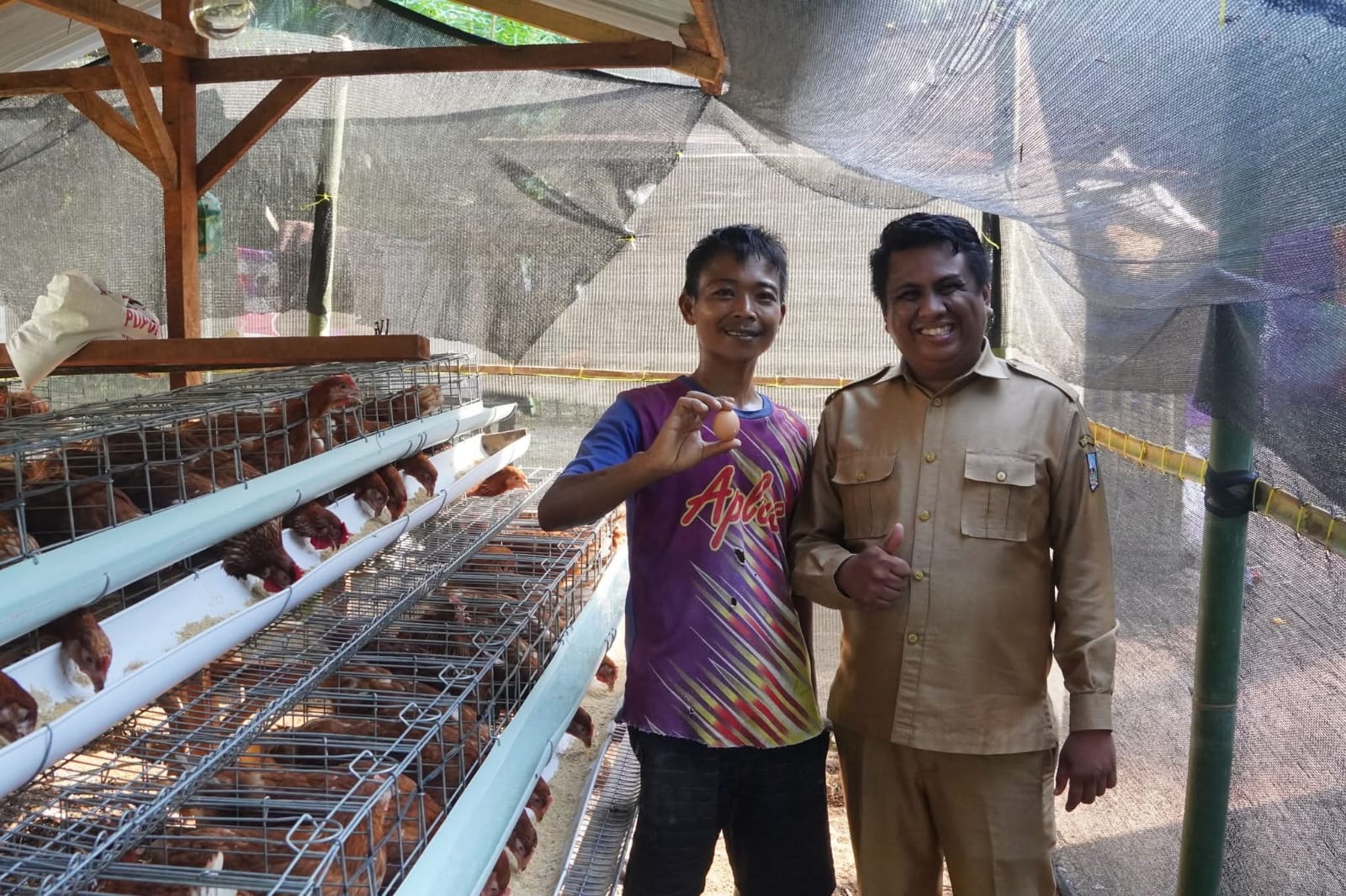 Sandika bersama Wali Nagari Sipangkur Arif Gumensa menunjukan telur ayam perdana.