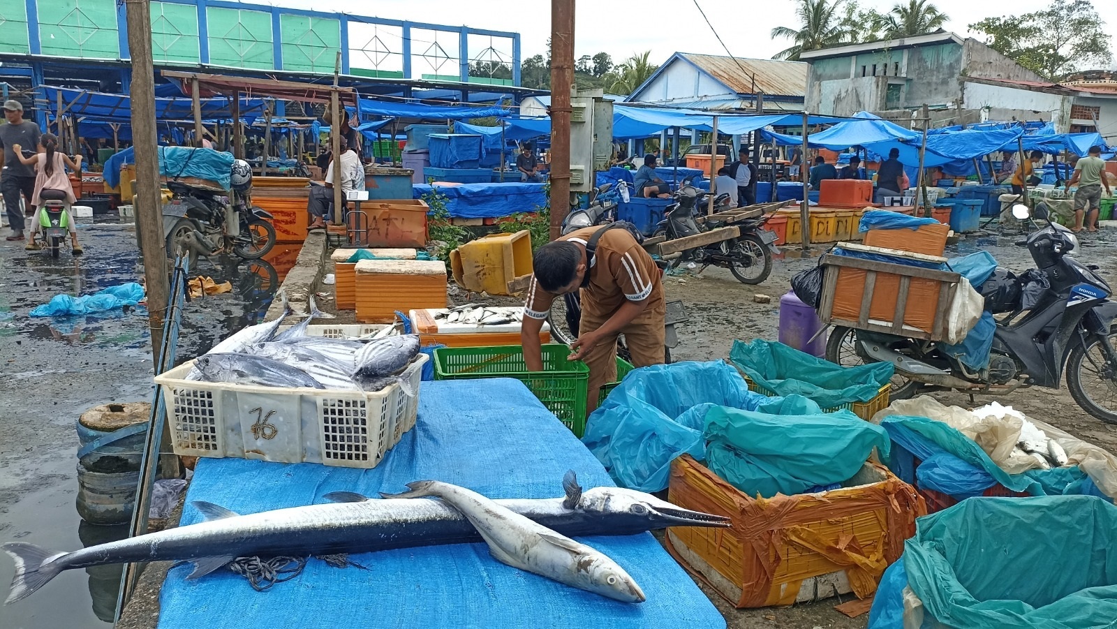 TEMPAT PELELANGAN IKAN: Pedagang terlihat menyimpan ikan hasil tangkapan nelayan untuk dijual di Tempat Pelelangan Ikan Airbangis, Kecamatan Sungaiberemas, Kabupaten Pasaman Barat, Senin (29/12).