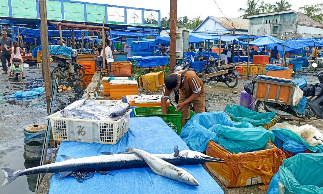 Harga ikan laut di TPI Air Bangis naik jelang Tahun Baru 2026 akibat cuaca tak menentu. (Foto: Fadli Zikri/Padeks)