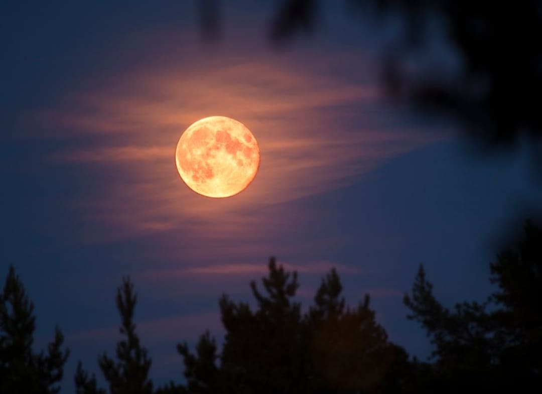 Saksikan Wolf Moon 3 Januari 2026, supermoon pertama dan terbesar tahun ini bersinar terang di langit malam. (Foto: Dok.NBC Chicago 2025)
