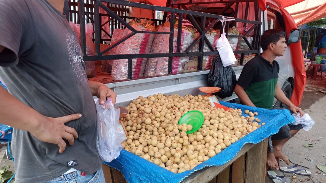 Pedagang duku menunggu pembeli di Pasar Ujunggading, Kecamatan Lembah Melintang, Kabupaten Pasbar, Minggu (4/1).