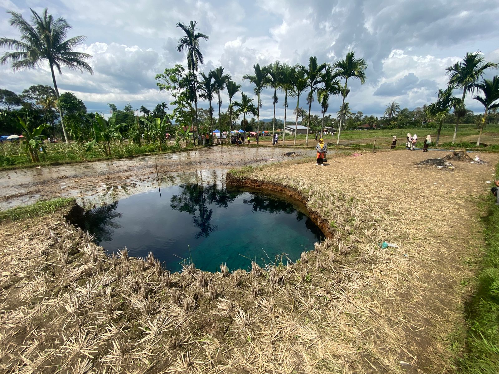 Fenomena lubang runtuhan tanah (sinkhole) muncul di area persawahan warga Jorong Tepi, Nagari Situjuah Batua, Kecamatan Situjuah Limo Nagari.