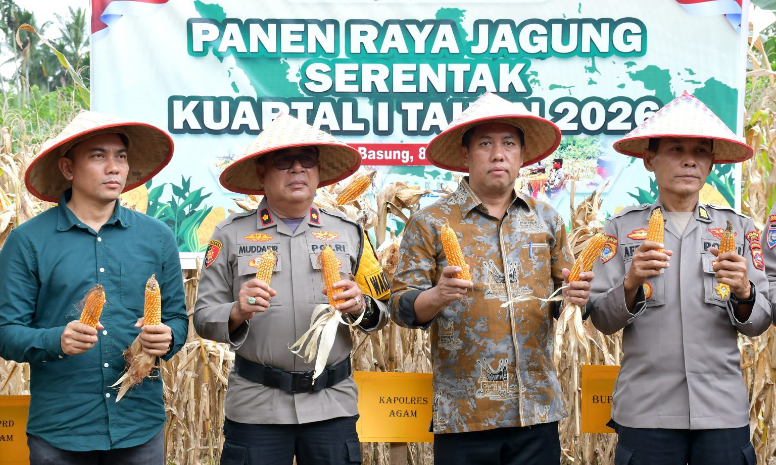 Panen jagung kuartal IV yang digelar Polres Agam di lahan pertanian masyarakat Lubuk Basung, Kamis (8/1/2026).
