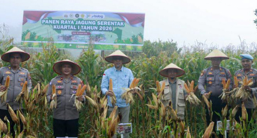 Polres Solok panen raya jagung serentak di Gunung Talang dengan hasil lebih dari 1 ton, sebagai dukungan nyata terhadap ketahanan pangan nasional.