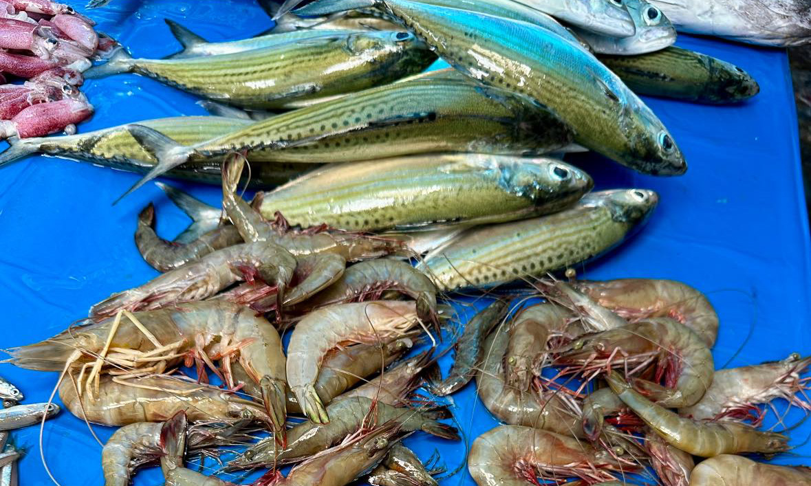 Harga ikan laut di Pasar Baru Pulau Punjung naik hingga Rp5 ribu per kg akibat pasokan berkurang dari Pesisir Selatan dan Padang, menurut pedagang setempat.