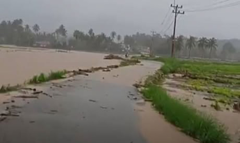 Groundbreaking Rehabilitasi Lahan Sawah Terdampak Bencana diselenggarakan di Munggu Tanah, Selayo, Kecamatan Kubung, Kamis 15 Januari 2026. Terlihat kondisi sawah yang diterjang banjir di Selayo.