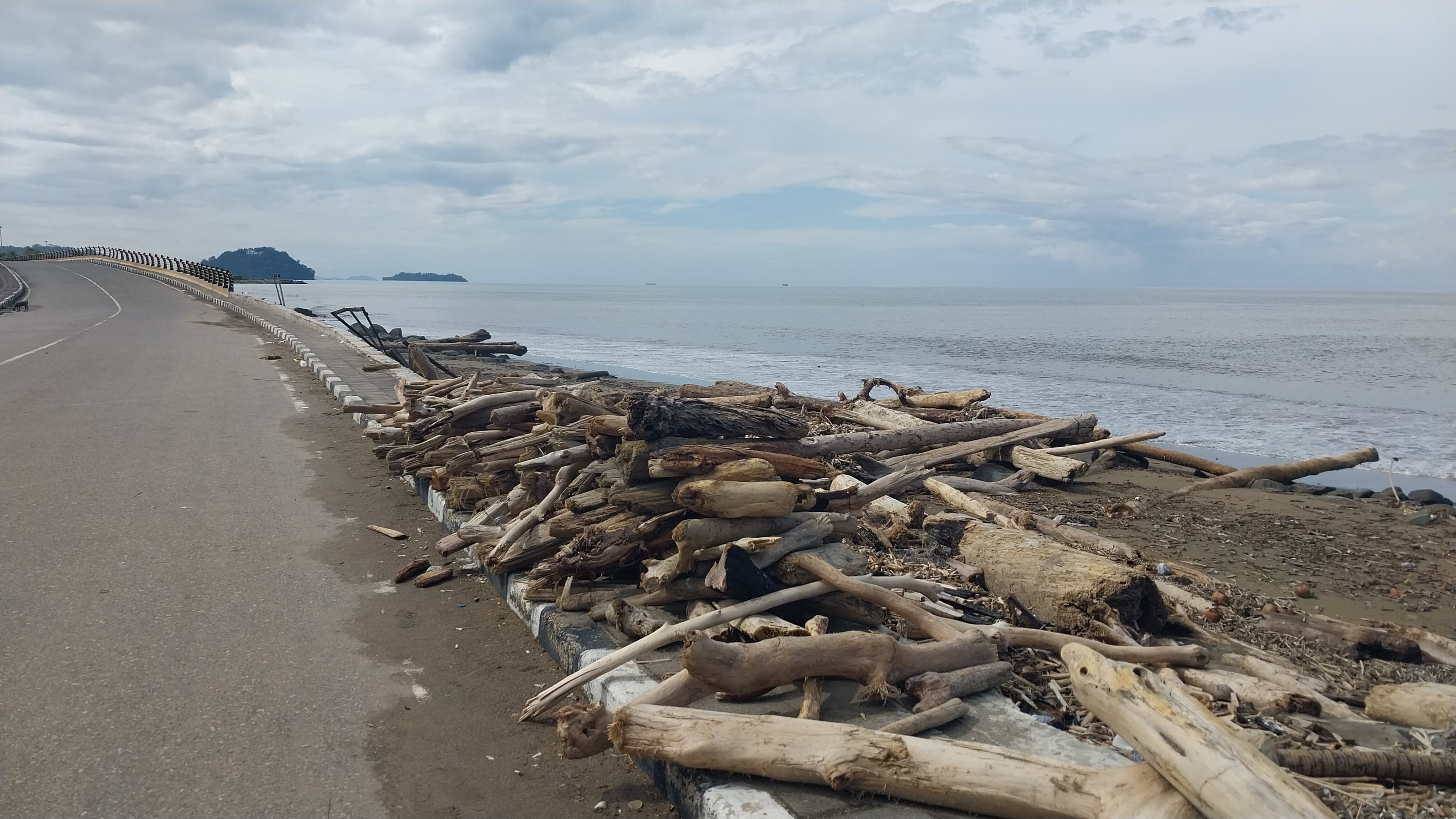 Kayu gelondongan sisa banjir bandang masih menumpuk di Pantai Padang, Kamis (15/1/2026).