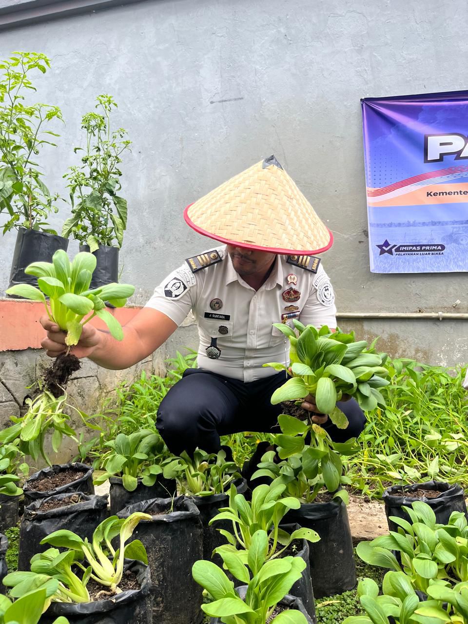 Lembaga Pemasyarakatan (Lapas) Kelas IIB Tanjung Pati melaksanakan kegiatan Panen Raya Serentak pada Kamis (15/1/2026).
