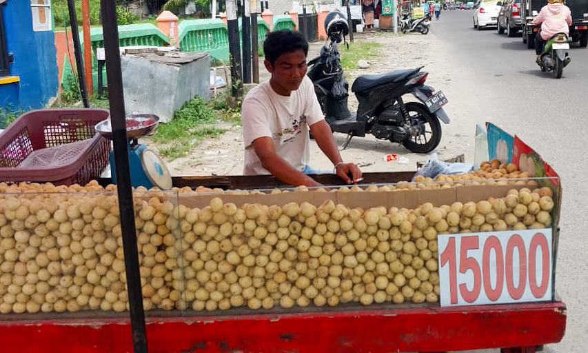 Buah duku Jambi banjiri Padang awal 2026. Pedagang musiman catat omzet hingga Rp1 juta per hari berkat permintaan tinggi dan harga kompetitif. (Foto: Mengki/Padeks)