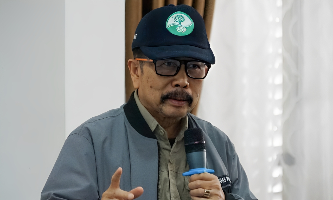 Guru Besar Universitas Gunadarma sekaligus Ketua Forum Daerah Aliran Sungai (DAS) Sumatera Barat, Prof. Isril Berd, menyatakan penggunaan sumur bor air tanah dalam secara masif dapat berdampak serius