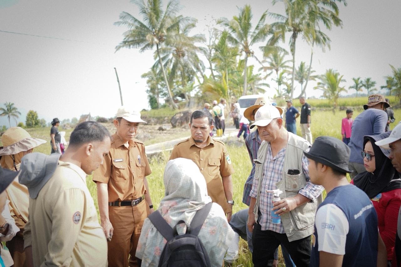 Pemkab Solok menggelar Gerakan Pengendalian Hama Tikus di Jorong Tabekpala, Nagari Talang, Kecamatan Gunungtalang, Selasa (27/1).