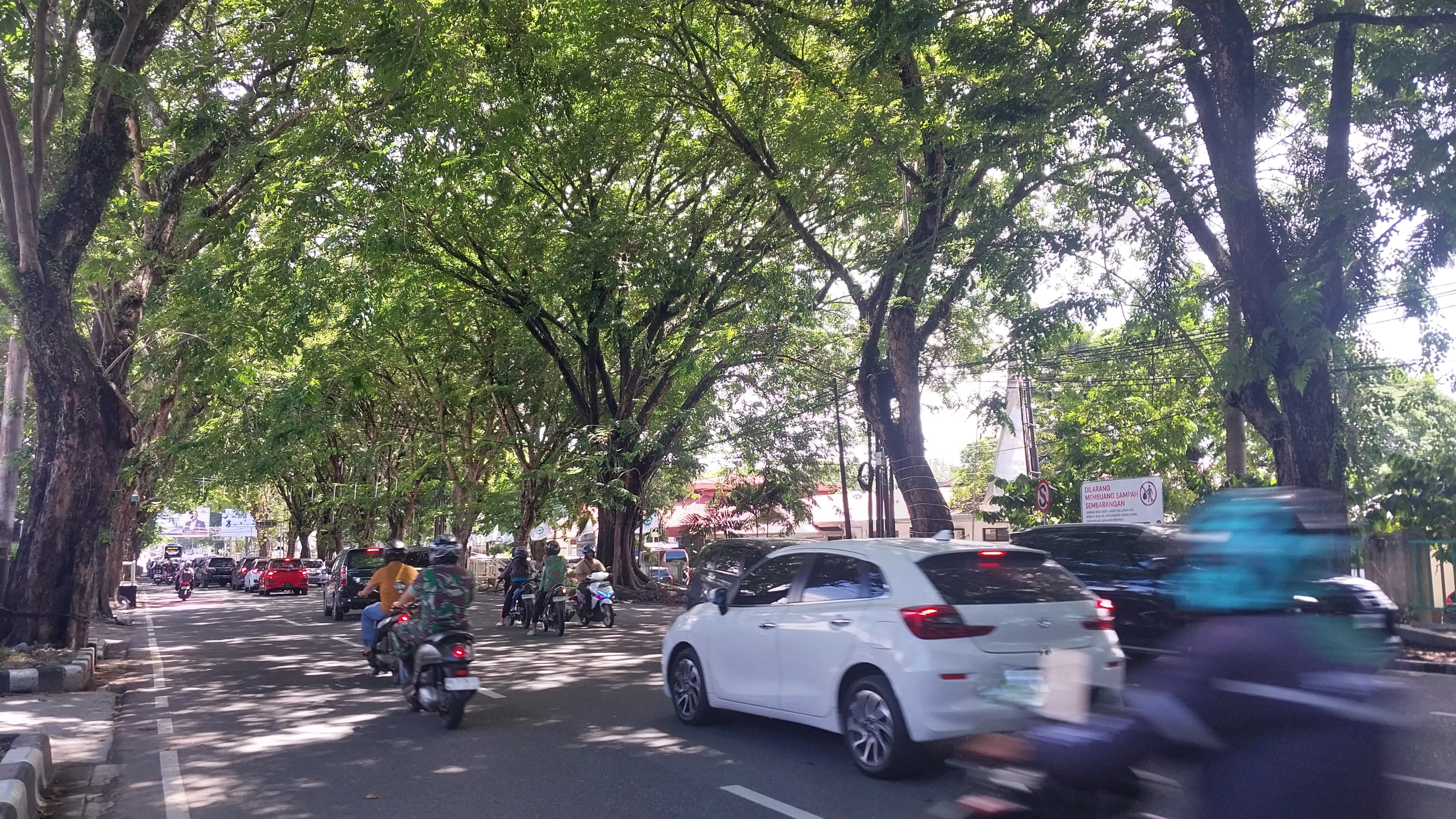 Pepohonan rindang di Jalan Rasuna Said Padang memberi kenyamanan bagi pengendara di tengah cuaca terik.