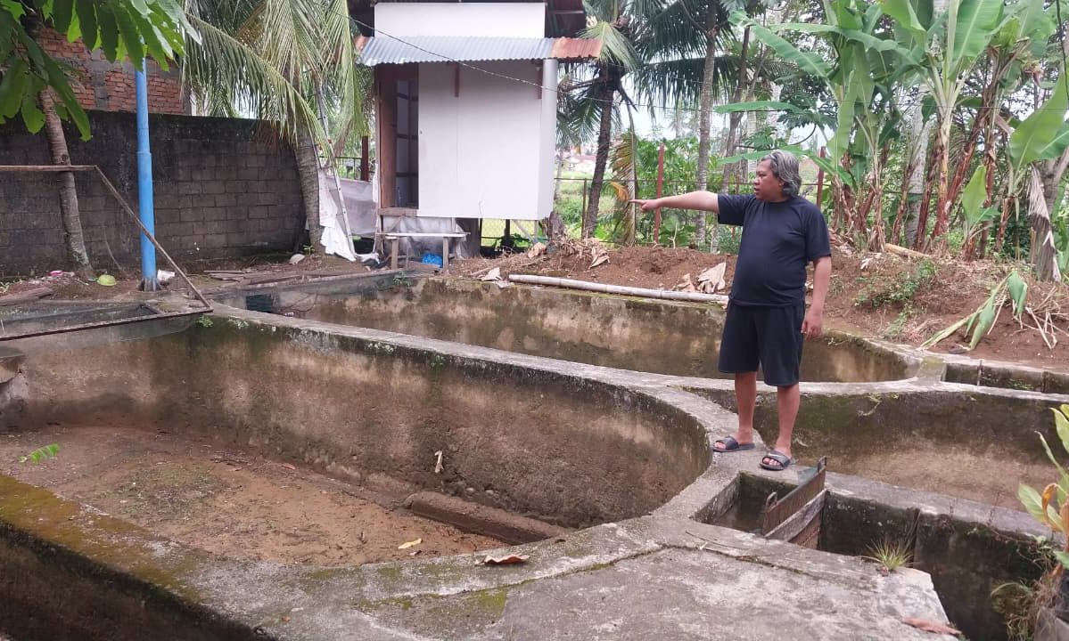 Kondisi kolam ikan nila milik warga Lambung Bukit, Kecamatan Pauh, Kota Padang, pascagalodo November 2025. (foto: Mengki Kurniawan/Padeks)