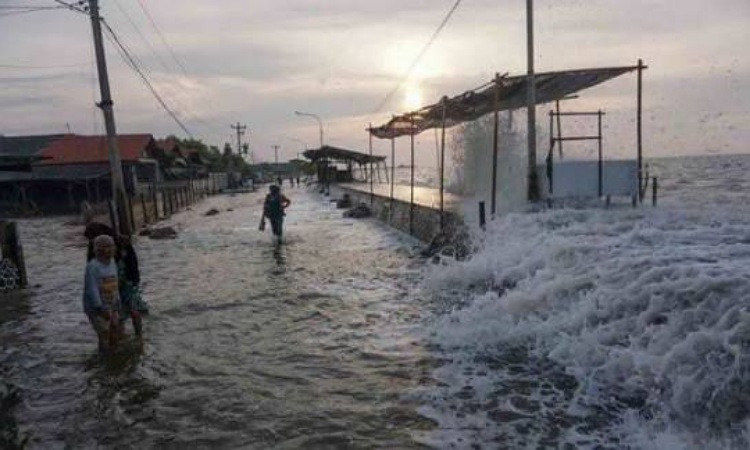 Ilustrasi banjir rob