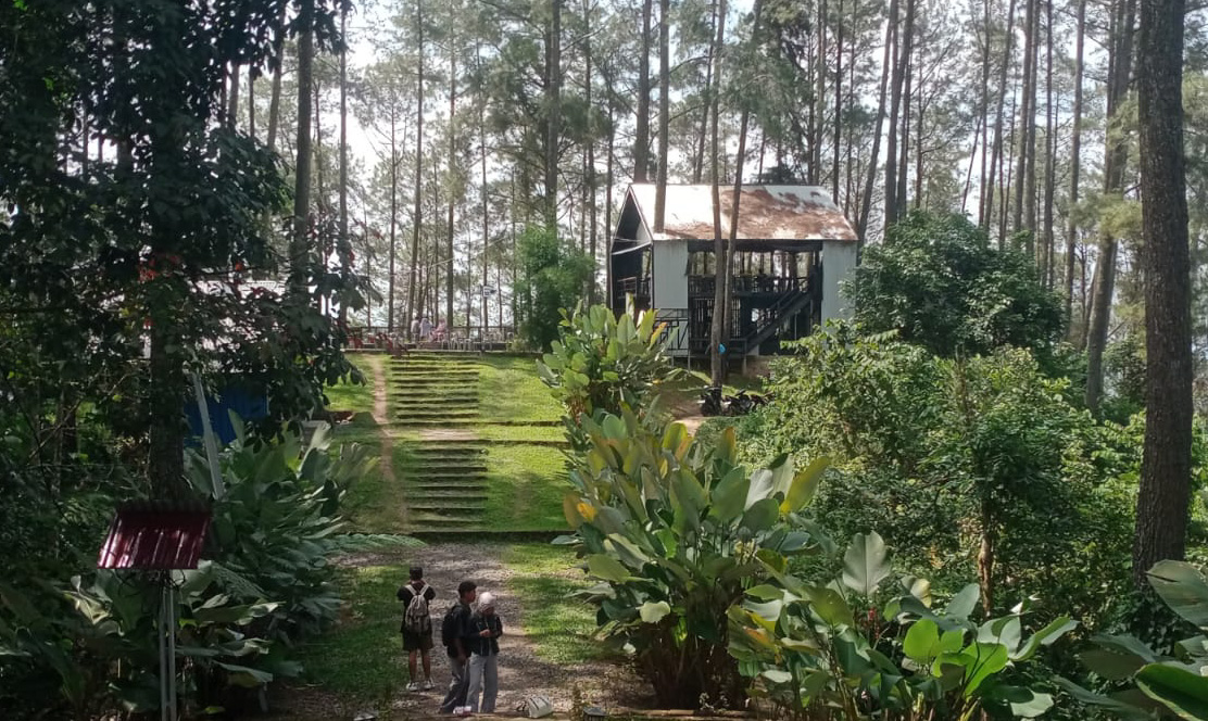 Aktivitas warga dan pengunjung di kawasan wisata Hutan Pinus Sikabu-Kabu, Limapuluh Kota, dengan latar Kafe Folka yang mendorong geliat ekonomi lokal.