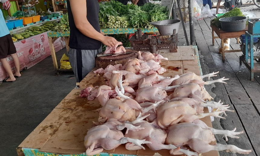 Harga ayam potong di Pasar Baru Pulau Punjung Dharmasraya naik jelang Ramadhan. Pedagang menyebut harga tembus Rp29 ribu per kilogram.