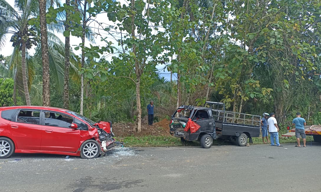 Kecelakaan dua mobil di Jorong Batang Umpai, Pasaman Barat, melibatkan L300 dan Honda Jazz, enam orang luka dan dirawat di RS.