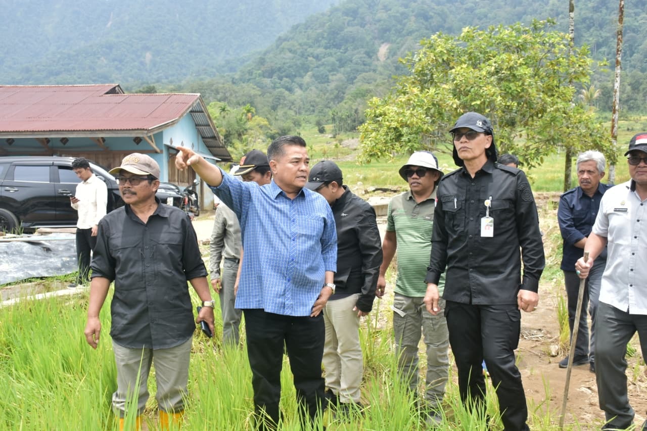 Bupati Agam Benni Warlis mendampingi Sekjen Kementan RI, Ali Jamil meninjau langsung lokasi lahan pertanian terdampak banjir bandang di Kotokaciak, Kecamatan Tanjungraya, Minggu (1/3).