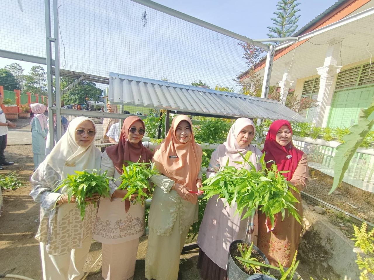 Dinas Pertanian dan Pangan Kota Solok berhasil memanen sayuran hidroponik di lingkungan perkantoran pada Selasa (3/3/2026).