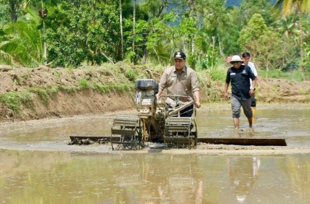 Bupati Agam Benni Warlis melakukan proses pengolahan lahan pertanian terdampak bencana di Kotokaciak, Tanjungraya, Selasa (3/3).