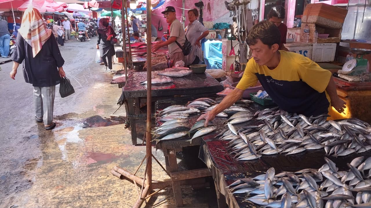 Fenomena terang bulan kurangi tangkapan nelayan, pasokan ikan di Pasar Raya Padang menipis. Pedagang keluhkan stok terbatas saat Ramadan.