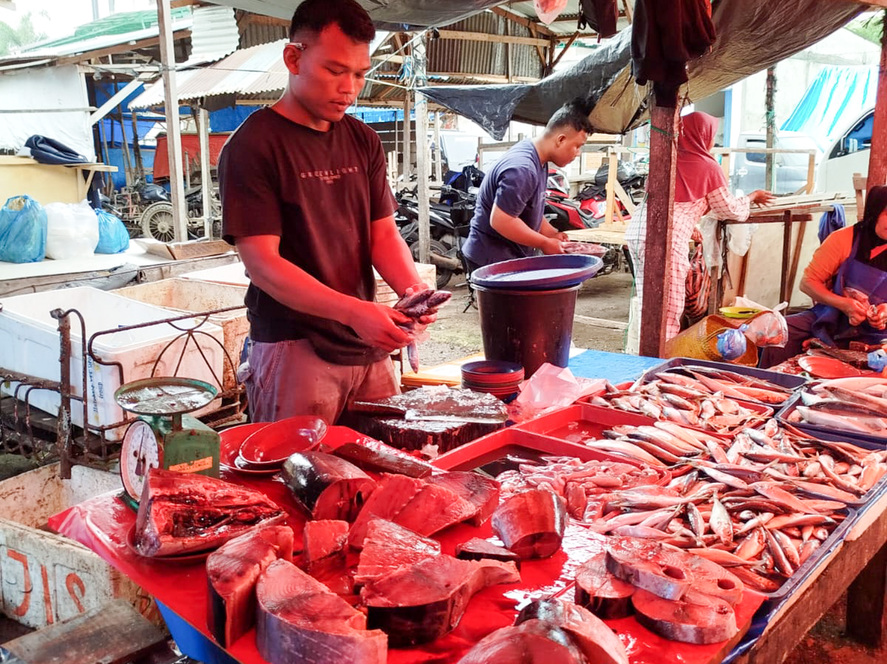 Pasokan ikan dari Padang menipis, pedagang Pasar Baru Pulau Punjung Dharmasraya datangkan ikan dari Jawa. Harga justru lebih murah Rp8 ribu per kilogram.