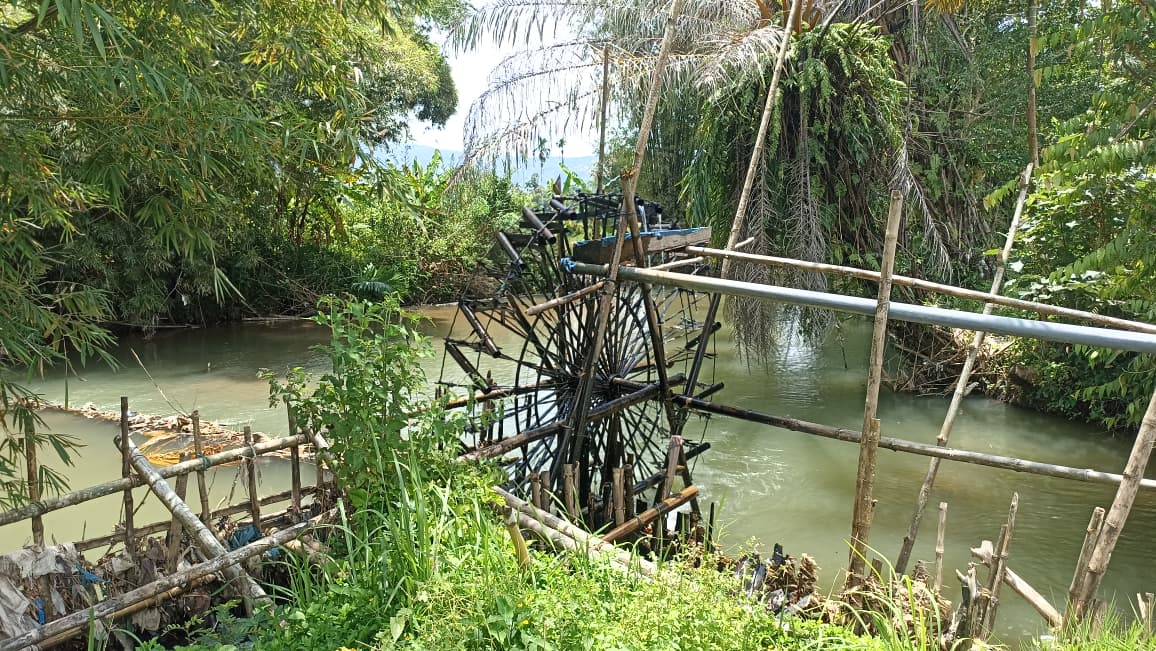 Kincir air tradisional di Nagari Sinuruik, Pasaman Barat masih digunakan petani untuk mengairi sawah, memanfaatkan arus sungai tanpa listrik dan bahan bakar.