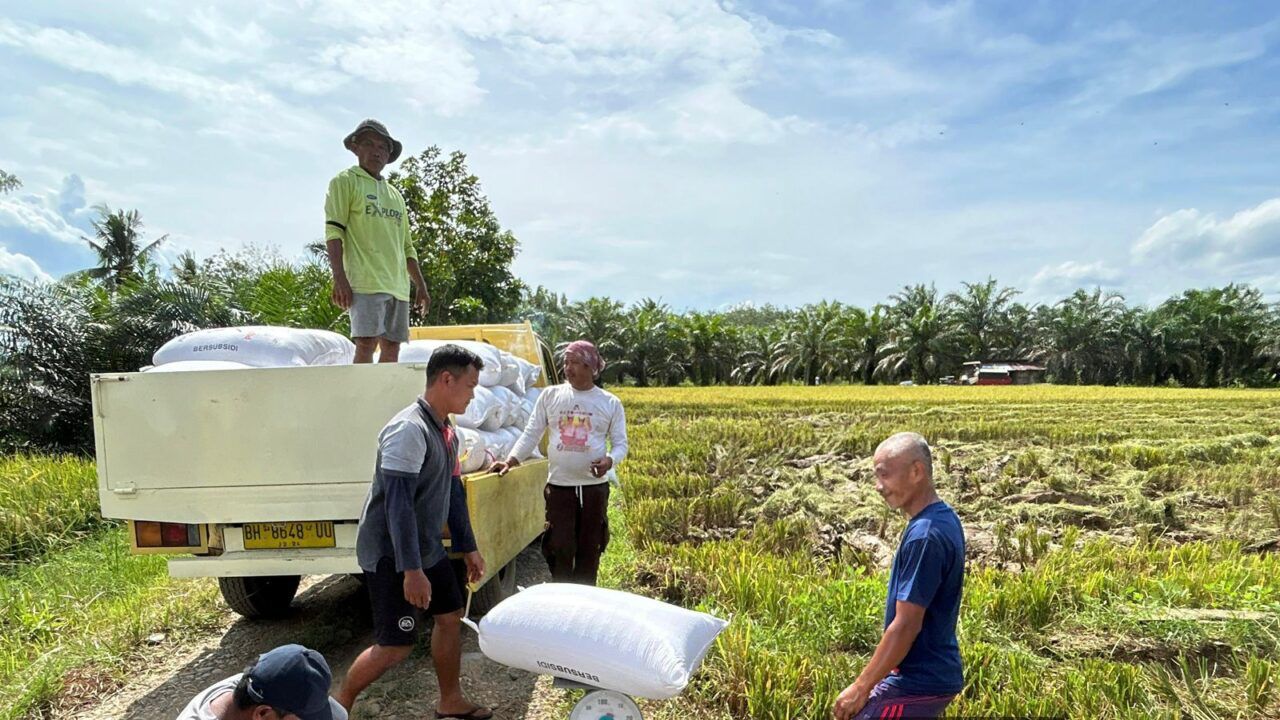 Bulog Solok memastikan stok beras pemerintah aman hingga akhir 2026. Program Gerakan Pangan Murah digelar untuk menjaga harga pangan tetap terjangkau.