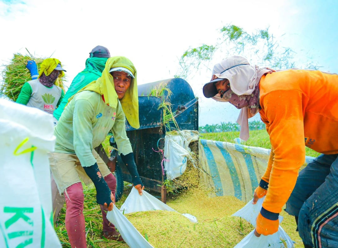 Aktivitas petani di area persawahan yang menjadi bagian dari upaya menjaga keberlanjutan produksi pangan nasional.(Foto: Humas)