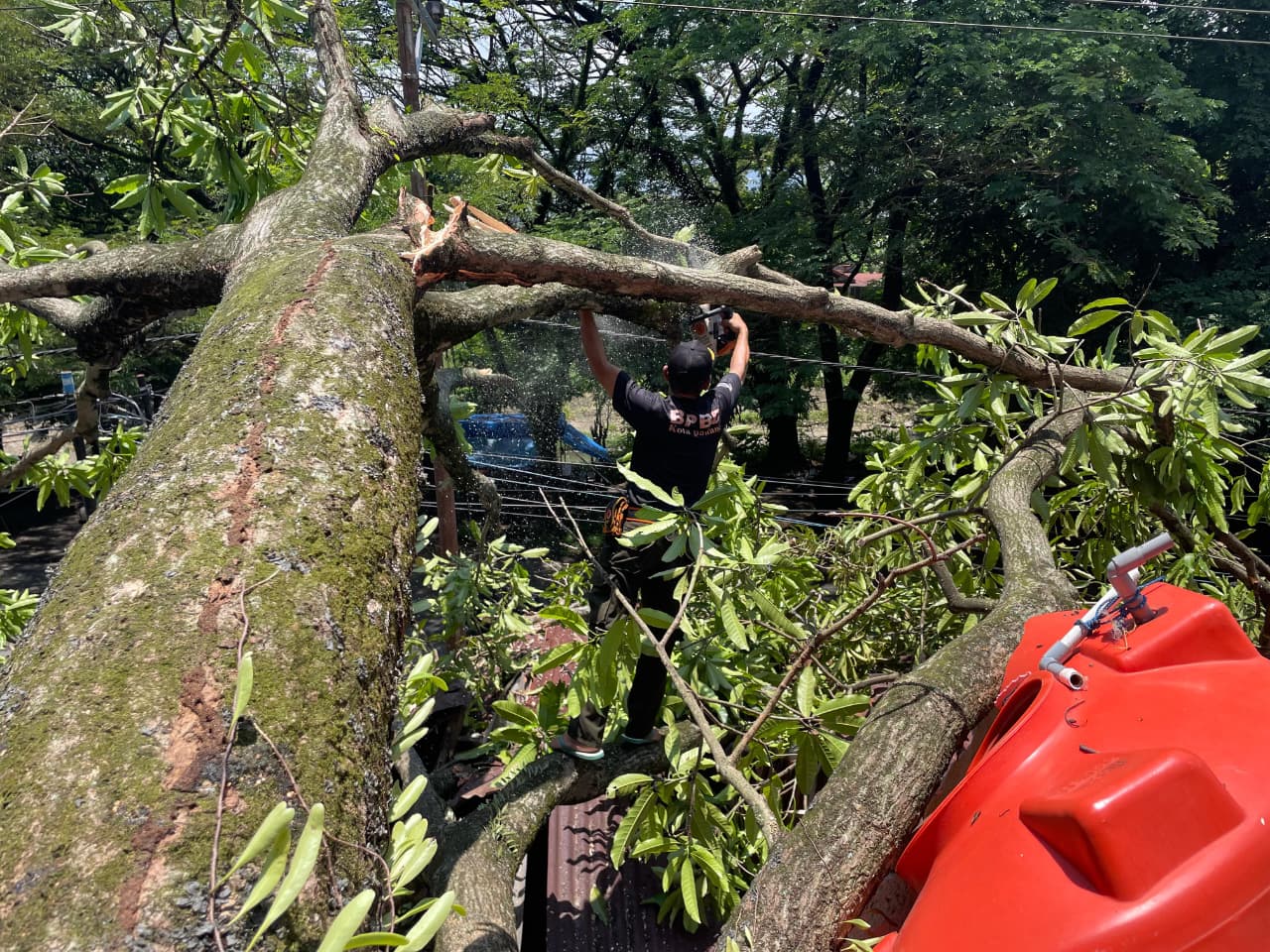 Rumah warga di Mata Air, Padang Selatan rusak parah tertimpa pohon tumbang akibat hujan lebat dan angin kencang. BPBD Padang menaksir kerugian mencapai Rp20 juta.