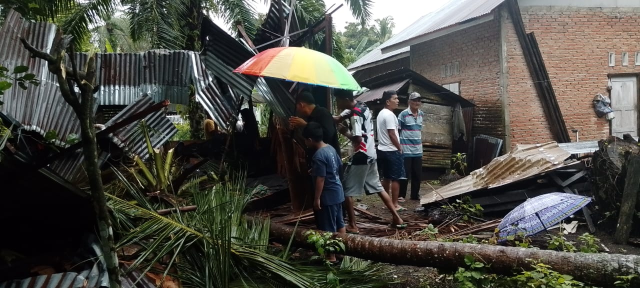 Pohon kelapa tumbang akibat hujan deras dan angin kencang di Pasaman Barat menimpa rumah warga. Seorang petani berusia 65 tahun dilaporkan meninggal dunia.
