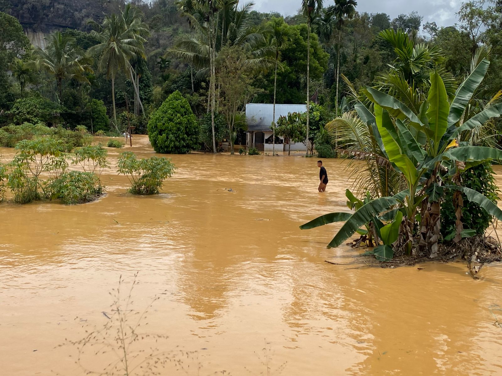 Banjir kiriman melanda Nagari Tarantang, Limapuluh Kota, Selasa (17/3). Sekitar 250 KK terdampak dan tiga sekolah ikut terendam.