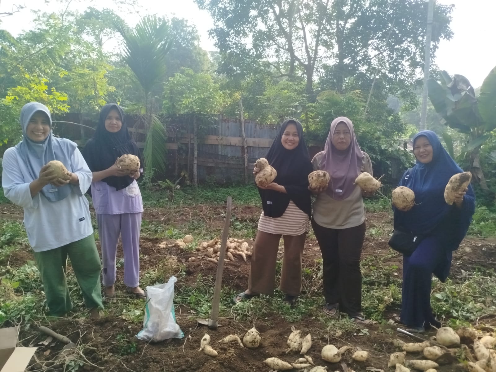 KWT Jahe Merah Dharmasraya panen ubi jalar dan cabai. Hasil diprioritaskan untuk kebutuhan anggota guna memperkuat ketahanan pangan keluarga.