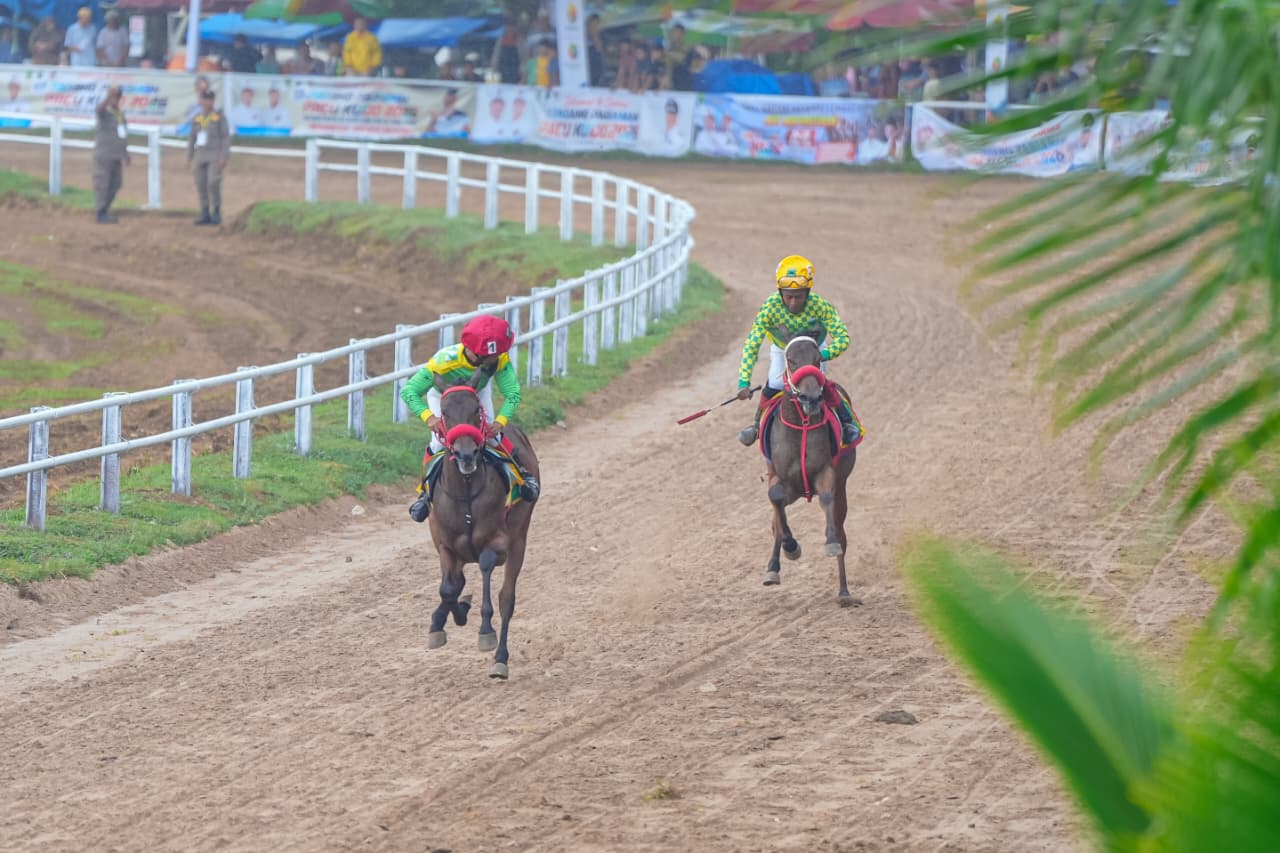 Pacu Kuda Padangpariaman 2026 digelar dua hari, dorong pariwisata dan UMKM, serta tarik wisatawan dan perantau ke Sumatera Barat.