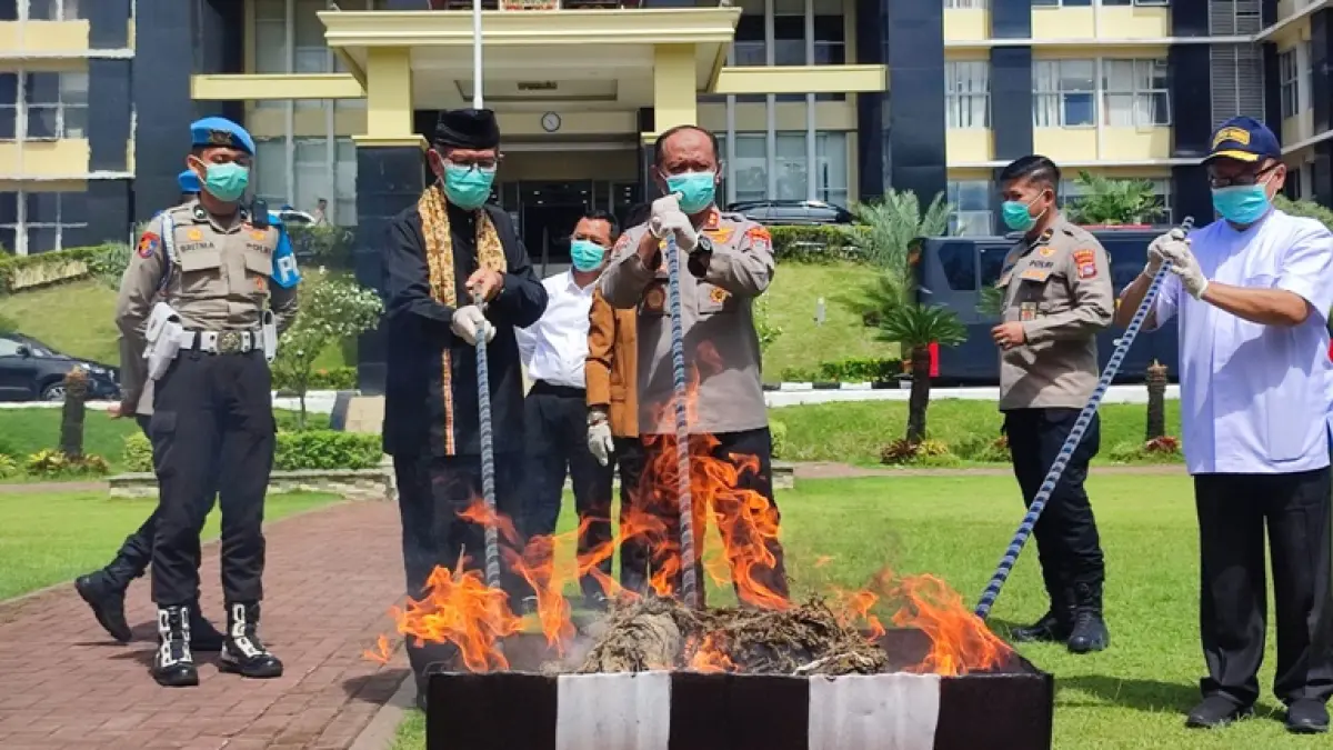 PEMUSNAHAN: Kapolda Sumbar Irjen Pol Gatot Tri Suryanta, perwakilan Pemprov dan LKAAM Sumbar
memusnahkan barang bukti ganja di Lapangan Mapolda Sumbar, Rabu (8/4).(RIYADHATUL KHALBI/PADEK)