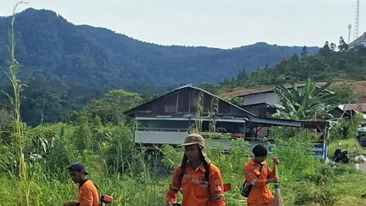 Petugas Dinas Lingkungan Hidup membersihkan ilalang di akses menuju Kampus III UIN Imam Bonjol Padang.(Foto: Humas)