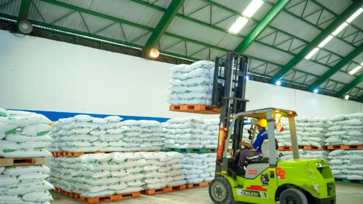 Aktivitas distribusi pupuk urea PT Pusri Palembang di gudang untuk mendukung musim tanam petani di Sumatera Barat 2026. (Foto: Corcom)
