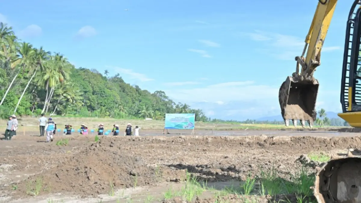 Pemprov Sumbar percepat rehabilitasi sawah terdampak bencana, progres capai ratusan hektare, dukungan anggaran pertanian Rp455 miliar.