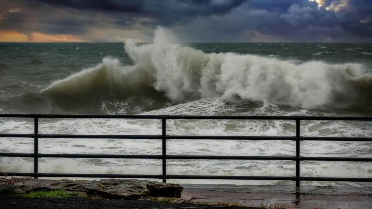  Ilustrasi gelombang tinggi. (Pexels)