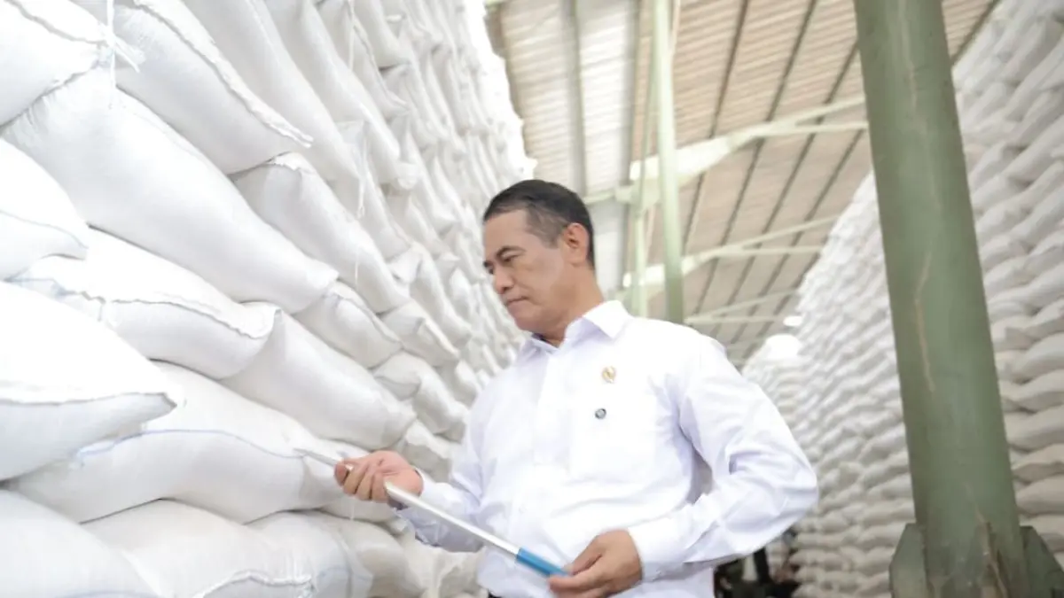 Menteri Pertanian Andi Amran Sulaiman saat meninjau gudang beras di Karawang.(Foto: Humas Kementan)