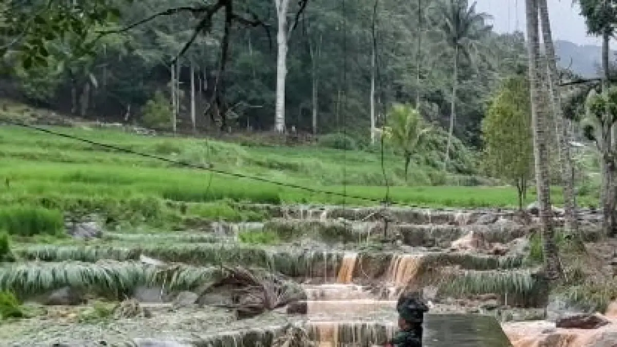 Dana rehabilitasi lahan pertanian di Kota Solok segera cair. Sebanyak 68 hektare sawah terdampak banjir bandang dengan kebutuhan anggaran Rp900 juta.